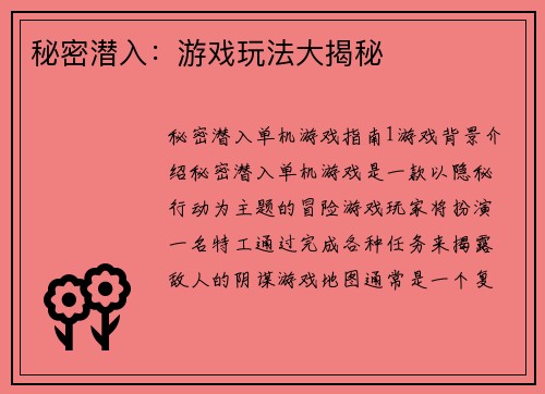 秘密潜入：游戏玩法大揭秘